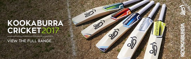 Cricket equipment