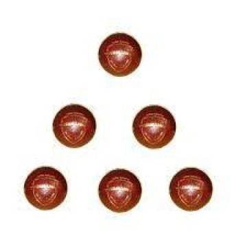 Gravity Cricket Ball Bouncer 6 Balls