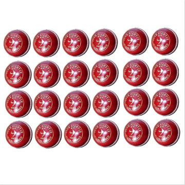 SM Club Fighter Alum Tanned Cricket Leather Balls 24 Ball Set