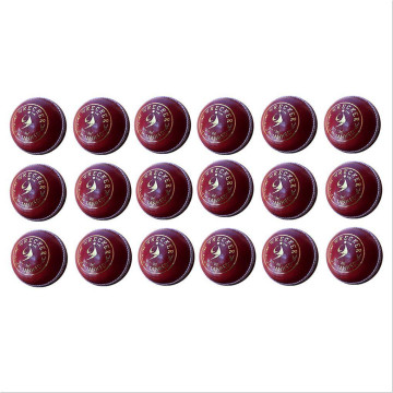 SM Wrecker Alum Tanned Cricket Leather Balls 18 Ball Set 