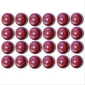 SM Wrecker Alum Tanned Cricket Leather Balls 24 Ball Set