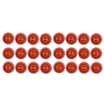 SS Gutsy Hard Synthetic Cricket Ball 24 Ball Set 