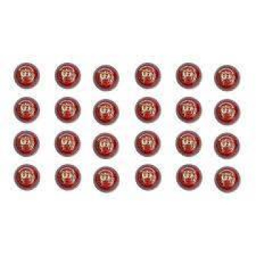 SS Incredi Soft Cricket Ball 24 Ball Set